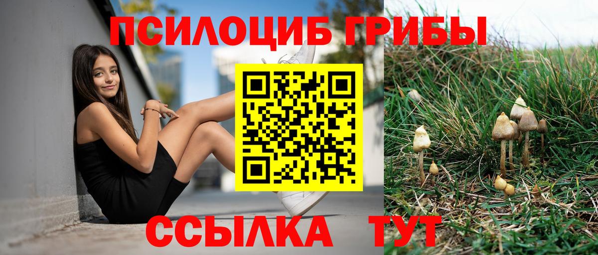 Псилоцибиновые грибы прущие грибы Котельники
