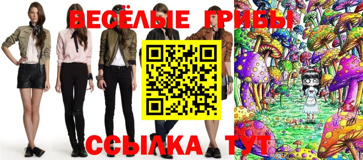цена   Вход с VPN  Котельники  Псилоцибиновые грибы мухоморы 